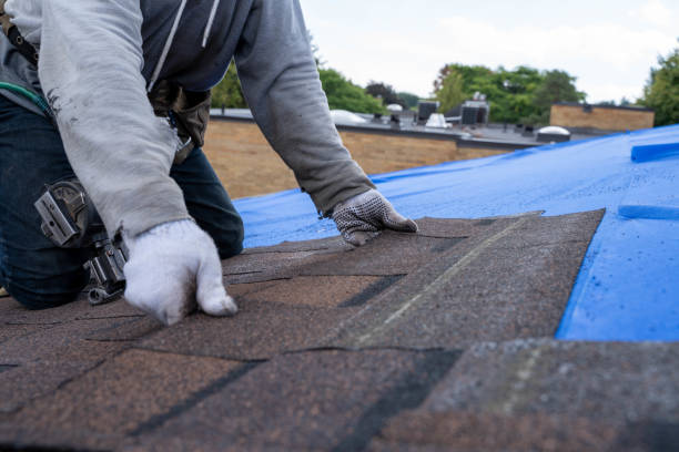 Best Flat Roof Repair Services  in Edgewood, WA