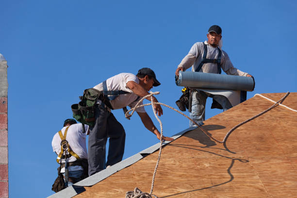 Best Metal Roofing Contractor  in Edgewood, WA